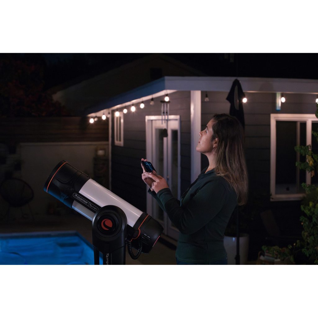 Conservazione e Manutenzione